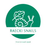 Улиточная ферма Raecki Snails